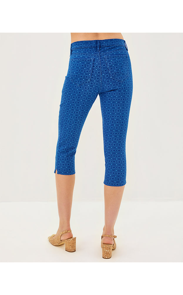 20" Sivan High Rise Crop Skinny Jean - Dark Wash