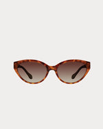 Shell Harbour Sunglasses - Brown Tortoise