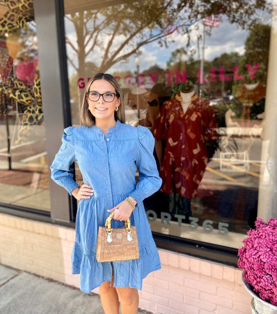 Long Sleeve Cinched Waist Dress - Chambray