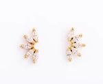 Jones Earrings Clear